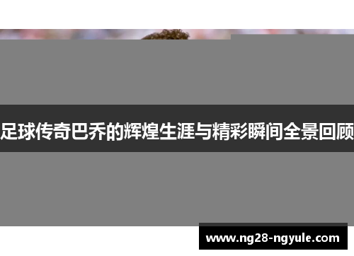 足球传奇巴乔的辉煌生涯与精彩瞬间全景回顾