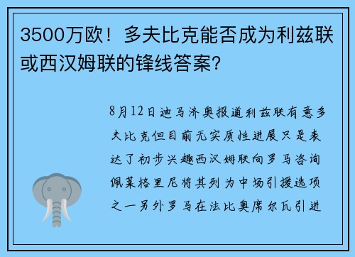 3500万欧！多夫比克能否成为利兹联或西汉姆联的锋线答案？